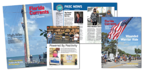 examples of Nikki's work