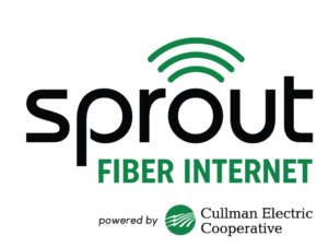 sprout fiber internet
