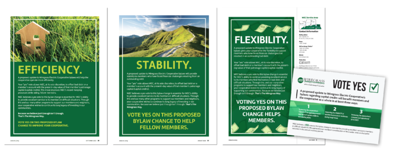 WordSouth created a campaign to run in Alabama Living, the co-op’s monthly magazine, and as a postcard in the member voting packet. The campaign focused on how members will benefit from the proposed bylaw change.