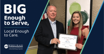 Social media frames will be used throughout 2021 to consistently share the story of Wiregrass Electric’s next theme, Big Enough to Serve, Local Enough to Care.