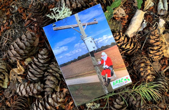holiday cards on pinecones